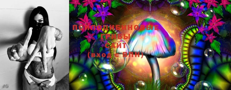 гидра сайт  Менделеевск  Псилоцибиновые грибы Magic Shrooms 